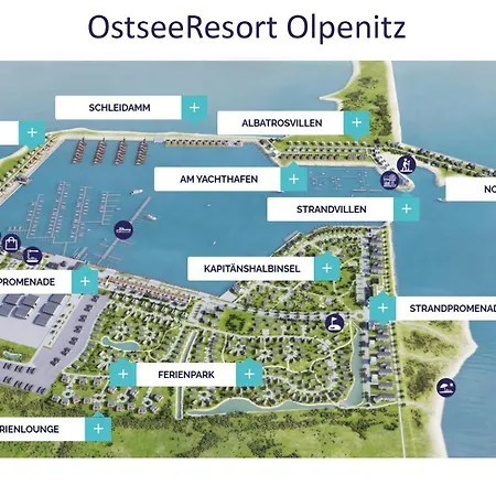Strandnelke Olpenitz